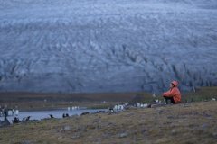 Field work at St Andrews Bay South Georgia 2018